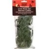 Flukers 012171 Hermit Headquarters Live Moss For Hermit Crabs