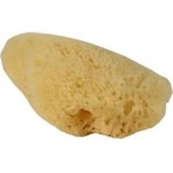 Flukers 012197 Hermit Headquarters Hermit Crab Natural Sea Sponge