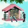Woodstream Wildbird Deluxe Chalet Feeder With Suet 5 Pounds - 50144