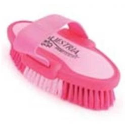 Desert Equestrian 6.75 Inch Small Equestrian Sport Oval Body Brush - Pink - 2171-1