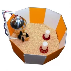 Farm Innovators Inc Farm Innovators-Farm Baby Chick Starter Home Orange & White 3700