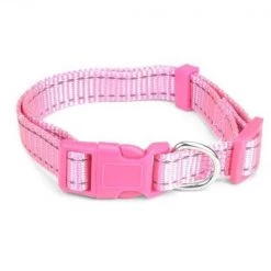Brybelly Holdings BrybellyHoldings ACLR-004 Small Adjustable Reflective Dog Collar - Pink