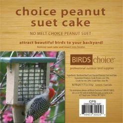 Birds Choice CPS Choice Peanut Suet