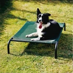 Coolaroo 799870317270 3ft x 2ft Medium Steel Framed Pet Bed - Brunswick Green Cover
