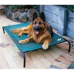 Coolaroo 799870317287 3 feet 6 inch x 2feet 6inch Large Steel Framed Pet Bed - Brunswick Green Cover