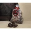 Integra Miltex Goods Of The Woods 10100 Magical Color Pine Cones 2.5 lb. Bag Burn Blue And Green