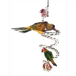 Caitec Corp Caitec 261 Cotton Bungie 3/4 in. Diam - 96 in. Straight