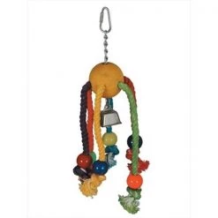 Partyanimal Medium Arachnid