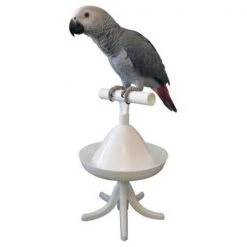 Caitec Corp Caitec 50009 The Percher - Portable Perch and Training Tool