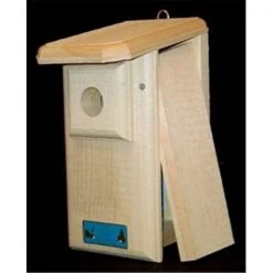 Coveside 10048 Eastern Bluebird