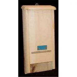 Coveside 00133 "Bat"chelor Pad