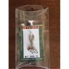Diva Dogs Denver Broncos Logo Charm