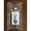 Diva Dogs Oakland Raiders Logo Charm