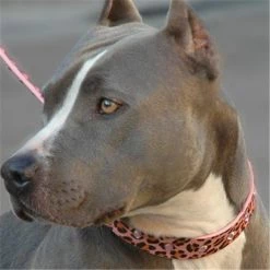 Diva Dogs Pink Panther Collar - Small