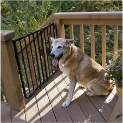 Petpal SS-30OD-W Stairway Special Outdoor Pet Gate - White