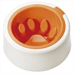 Felli Pet NPA2SB2-1-205-919 Kaleido 5.5 In. Good Manners Pet Bowl Citrus