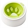 Felli Pet NPA2SB5-1-499-919 Kaleido 7 In. Good Manners Pet Bowl Lime