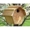 Songbird Essentials SE546 Carolina Wren All Purpose House