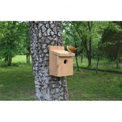 Songbird Essentials SETC100 Cedar Wren House