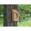 Songbird Essentials SETC101 Cedar Bluebird House