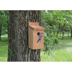 Songbird Essentials SETC101 Cedar Bluebird House