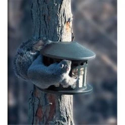 Heritage Farms HF75590 Squirrel Diner 2 Metal Squirrel Feeder
