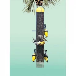 Perky Pet Upside Down Anti - House Finch Feeder