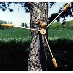 Songbird Essentials Squirrel A Whirl