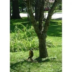 Songbird Essentials SESQUNGEE 1" x 7" x 4.75" Deluxe Squirrel Feeder