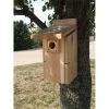 Songbird Essentials SESCS3004RW 6.5" W x 14.75" H x 10" D Ultimate Bluebird House