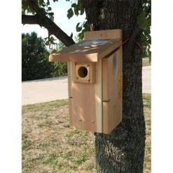 Songbird Essentials SESCS3004RW 6.5" W x 14.75" H x 10" D Ultimate Bluebird House