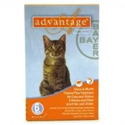 Bayer ADVANTAGE6-ORANGE Advantage 6 Pack Cat 0 - 9 Lbs. - Orange
