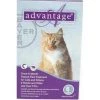 Bayer ADVANTAGE6-PURPLE Advantage 6 Pack 9 Lbs. & Up - Purple