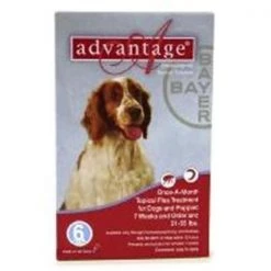 Bayer ADVANTAGE6-RED Advantage 6 Pack Dog 21-55 Lbs. - Red