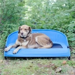 Gen7Pets G3336TB Large Cool-Air Cot Trailblazer Blue