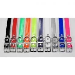 Grain Valley Dog Supply Grain Valley Strap34-Red 0.75 in. Universal Strap - Red