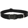 Lupine Inc 1in. X 16in.-28in. Adjustable Black Collar For Medium & Large Dogs 27553