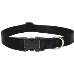 Lupine Inc 1in. X 16in.-28in. Adjustable Black Collar For Medium & Large Dogs 27553