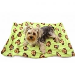 Klippo Pet KBLNK053 Silly Monkey Ultra-Plush Blanket; Lime - One Size