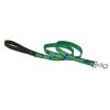 Petpalace 75 in. Tail Feathers 6 ft. Lead