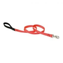 Lupine Pet Lupine 52559 1 in. Blaze Orange 6 ft. Padded Handle Dog Leash