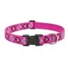 Lupine Pet Lupine 14253 1 in. Puppy Love 16 in. - 28 in. Adjustable Dog Collar