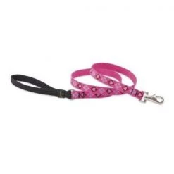 Petpalace 75 in. Puppy Love 6 ft. Padded Handle Dog Leash