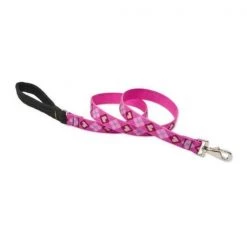 Petpalace 1 in. Puppy Love 6 ft. Padded Handle Dog Leash