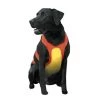 Petpath Coastal Pet Products R1900 Chest Protector Orange - Large