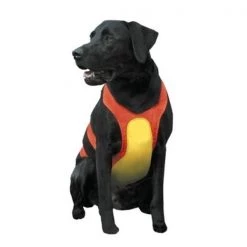 Petpath Coastal Pet Products R1900 Chest Protector Orange - Large
