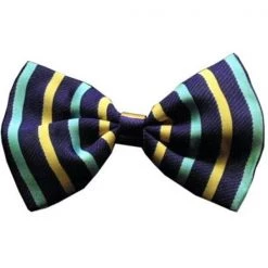 Unconditional Love Dog Bow Tie Purple and Aqua Stripes