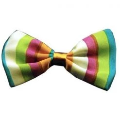 Mirage Pet Products 48-23 Dog Bow Tie Funky Stripes