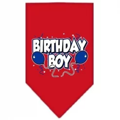 Mirage Pet Products 66-05 SMRD Birthday Boy Screen Print Bandana Red Small