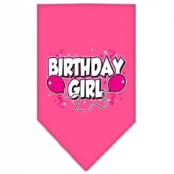 Mirage Pet Products 66-06 LGBPK Birthday girl Screen Print Bandana Bright Pink Large